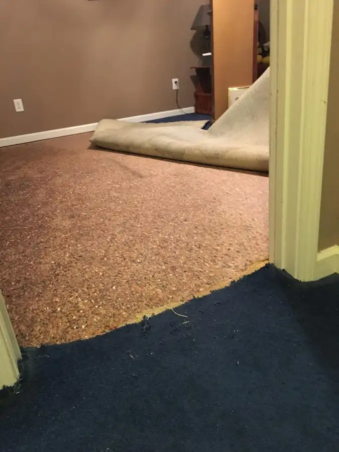 Carpet pad removal revealing water damage during Drying & Dehumidification in Paradise