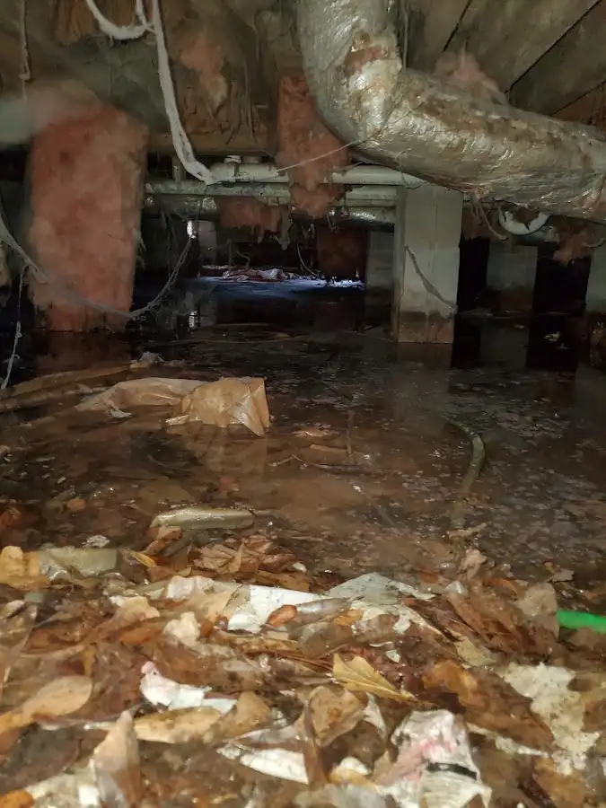 Crawl space flood assessment for Leak Detection & Repair in Paradise